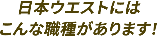 日本ウエストには、こんな職種があります！